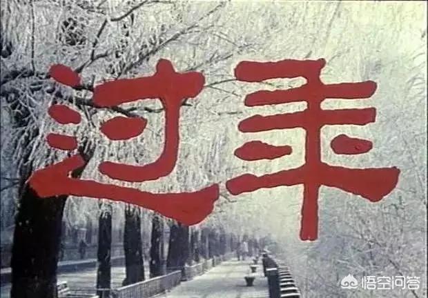 你看过赵丽蓉主演的电影《过年》吗？